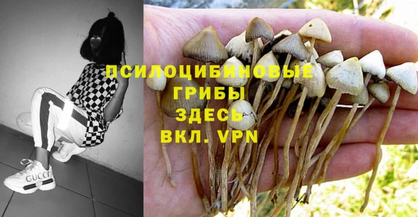 экстази Абаза